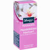 Kneipp Pflegendes Massage- Öl Mandelblüten Hautzart  100 ml - ab 6,94 €
