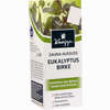 Kneipp Sauna- Aufguss Eukalyptus Birke Konzentrat 100 ml - ab 6,12 €