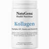 Kollagen + Elastin + Hyaluron + Vitamin C 160.2 g - ab 29,41 €