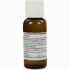 Lac Taraxaci D10 Parmelia D10 Aa Dilution 100 ml - ab 58,81 €