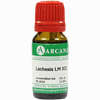 Lachesis Arca Lm 12 10 ml - ab 8,78 €