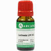 Lachesis Arca Lm 12 10 ml - ab 8,55 €