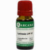 Lachesis Arca Lm 6 10 ml - ab 7,85 €