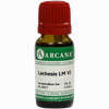 Lachesis Arca Lm 6 10 ml - ab 9,64 €