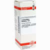 Lachnanthes Tinct D4 Dilution 20 ml - ab 0,00 €