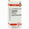 Lachnanthes Tinct D6 Globuli 10 g - ab 7,55 €