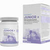 Lactobact Junior Pulver 60 g