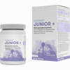 Lactobact Junior Pulver 60 g - ab 19,10 €