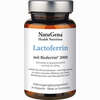 Lactoferrin 30 Stück - ab 32,21 €