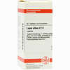 Lapis Albus D12 Tabletten 80 Stück - ab 8,69 €
