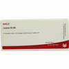 Larynx Gl D6 Ampullen 10 x 1 ml - ab 0,00 €