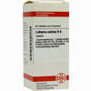 Lathyrus Sativ D6 Tabletten 80 Stück - ab 6,11 €