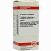 Lathyrus Sativ D6 Tabletten 80 Stück - ab 8,69 €