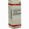 Latrodect Mac D12 Dilution 20 ml - ab 0,00 €