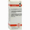 Latrodect Mac D12 Globuli 10 g - ab 7,55 €