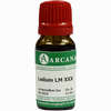 Ledum Arca Lm 30 10 ml - ab 14,13 €