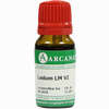 Ledum Arca Lm 6 10 ml - ab 9,64 €