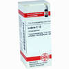 Ledum C12 Globuli 10 g - ab 6,98 €