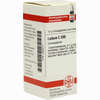 Ledum C200 Globuli 10 g - ab 12,35 €