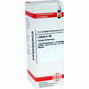 Ledum C30 Dilution 20 ml - ab 8,23 €