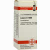 Ledum D1000 Globuli 10 g - ab 0,00 €