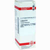 Ledum D6 Dilution 20 ml - ab 7,84 €