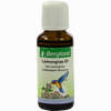Lemongras- Öl Bergland  30 ml - ab 8,24 €