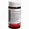 Lens Viscum Comp. Globuli Velati  20 g - ab 7,18 €