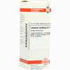Leonurus Cardiaca D 1 Dilution 20 ml - ab 8,69 €