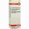 Leonurus Cardiaca D2 Dilution 20 ml - ab 8,35 €