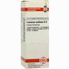 Leonurus Cardiaca D2 Dilution 20 ml - ab 8,69 €