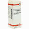 Leonurus Cardiaca D3 Dilution 20 ml - ab 8,69 €