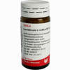Levisticum E Radice D3 Globuli 20 g - ab 7,18 €