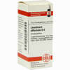 Levisticum Off D6 Globuli 10 g - ab 7,55 €