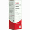 Levisticum- Ohrentropfen  10 ml