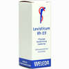 Levisticum Radix Rh D3 Dilution 20 ml - ab 17,64 €
