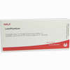 Lien/plumbum Ampullen  10 x 1 ml - ab 19,06 €