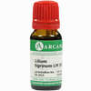 Lilium Tigrinum Arca Lm 18 10 ml - ab 12,37 €