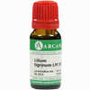 Lilium Tigrinum Arca Lm 18 10 ml - ab 10,28 €