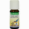 Limette- Ingwer Aetherisches Öl 10 ml - ab 5,35 €