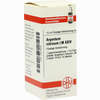 Lm Argent Nitr Xxiv Dilution 10 ml - ab 0,00 €