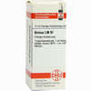 Lm Arnica Vi Dilution 10 ml - ab 0,00 €