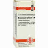 Lm Arsen Alb I Dilution 10 ml - ab 13,45 €