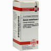 Lm Aurum Met Vi Dilution 10 ml - ab 12,79 €
