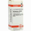 Lm Belladonna Vi Dilution 10 ml - ab 10,83 €