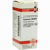 Lm Capsicum Xviii Dilution 10 ml - ab 0,00 €