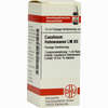 Lm Causticum Hahnema Xii Dilution 10 ml - ab 13,45 €