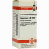 Lm Hypericum Xviii Dilution 10 ml - ab 10,01 €