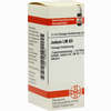Lm Jodum Xii Dilution 10 ml - ab 10,30 €