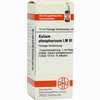 Lm Kal Phos Vi Dilution 10 ml - ab 0,00 €